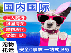 赣州黄金国际宠物托运 【国